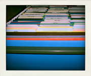 Felons Records | Convicted Felon Records Click here!