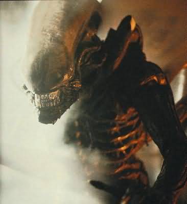 Alien vs Predator