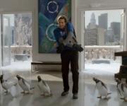 Mr. Poppers Penguins Movie Trailer HD